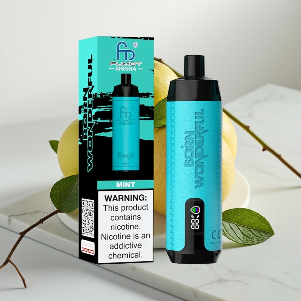 RandM Fumot Shisha 10000 Puffs Disposable Vape Menta, 18ml, 0.5% Nicotina