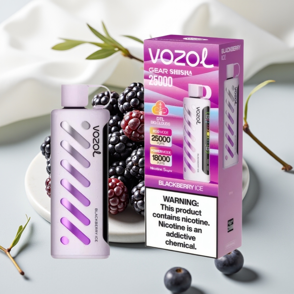 VOZOL Gear Shisha 25000 Puffs Blackberry Ice, 5mg/ml, 1000mAh, Dual Mesh