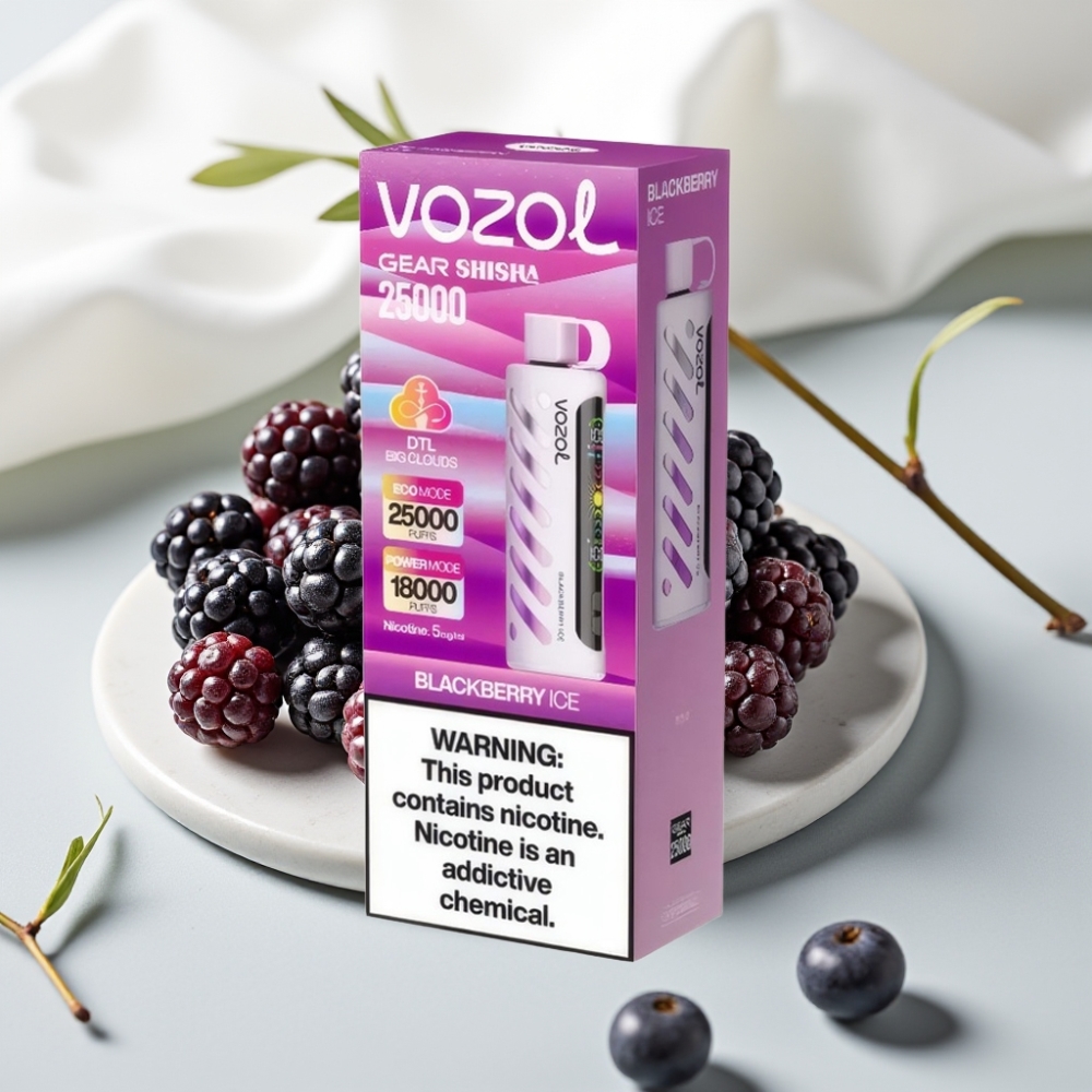 VOZOL Gear Shisha 25000 Puffs Blackberry Ice, 5mg/ml, 1000mAh, Dual Mesh