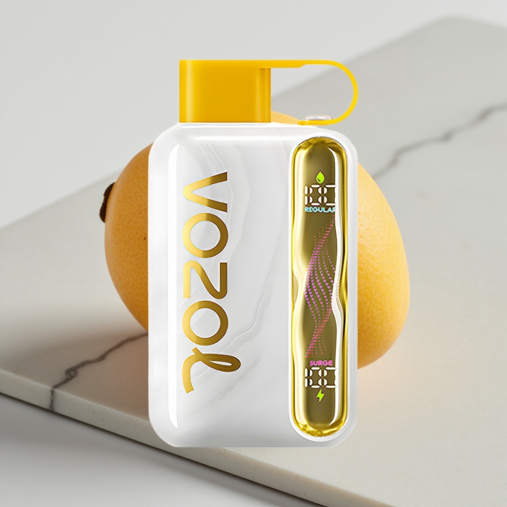 VOZOL STAR 40000 Puffs Disposable Vape Manga Gelo – 1000mAh, Tipo-C