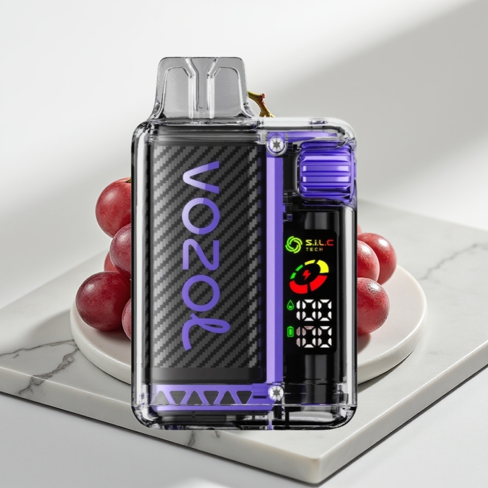 VOZOL Vista 20000 Puffs Recarregável – Uva Gelada, 650mAh, 2% Nicotina, TPD